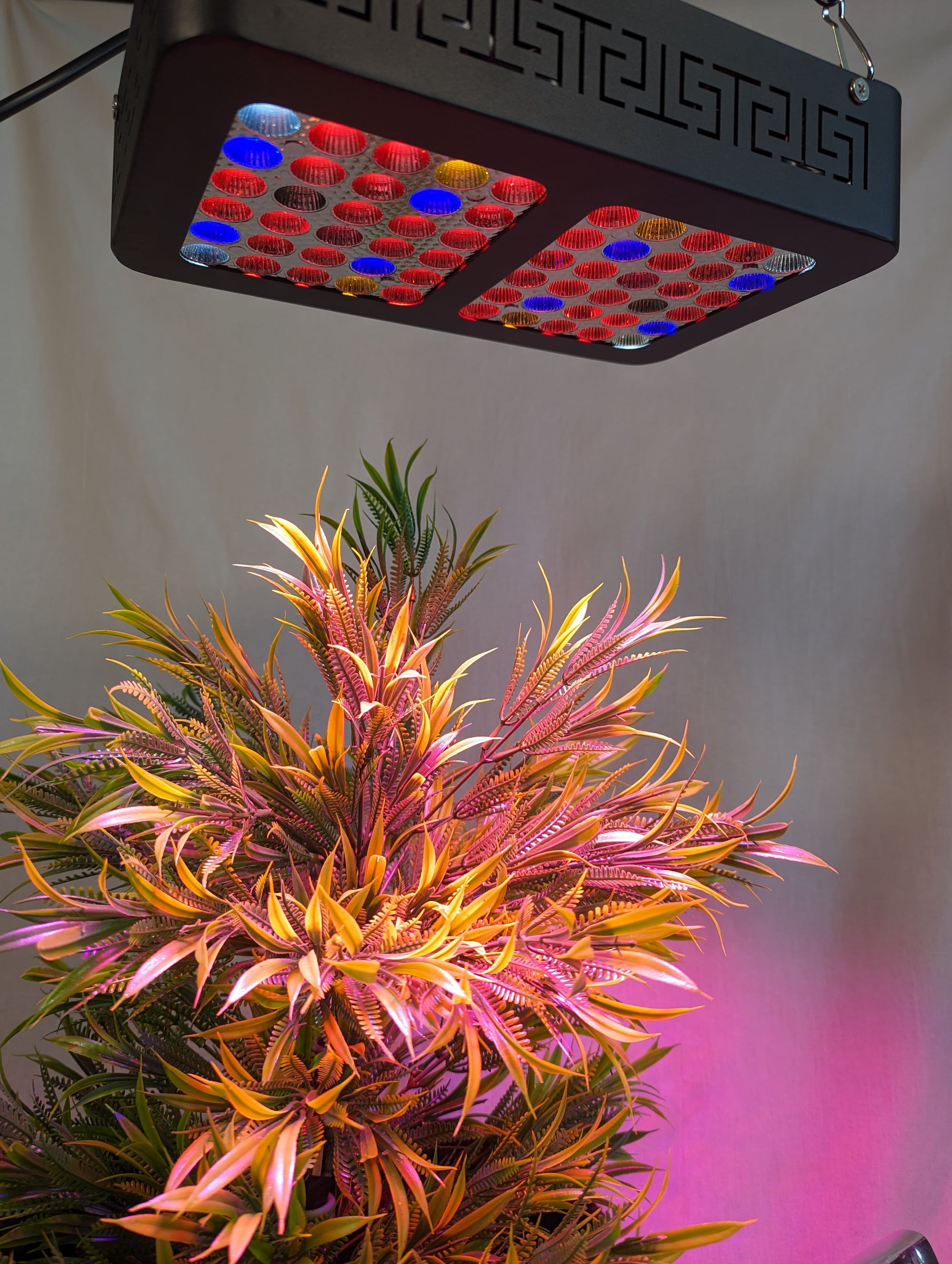 Powerful Red Blue 120W Full Spectrum Grow Light